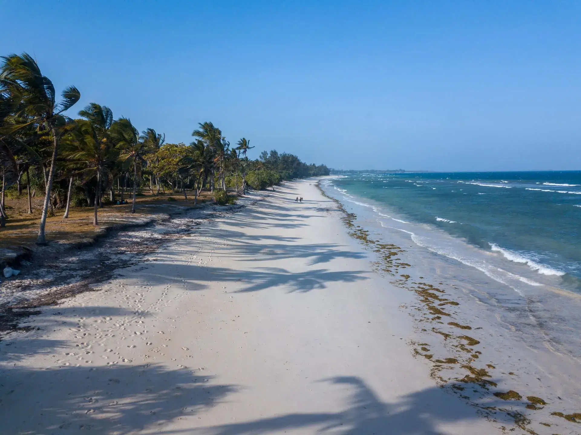 White sand runs to the Indian Ocean along the Kenyan coast, palms leaning to the tide.