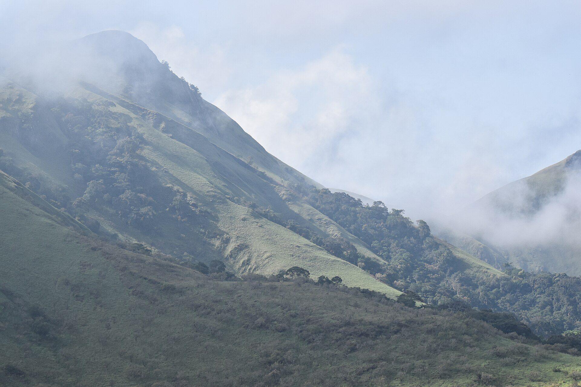 Mist rolls across a green mountain forest, ridge fading into ridge.