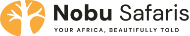 Nobu Safaris — Your Africa, beautifully told