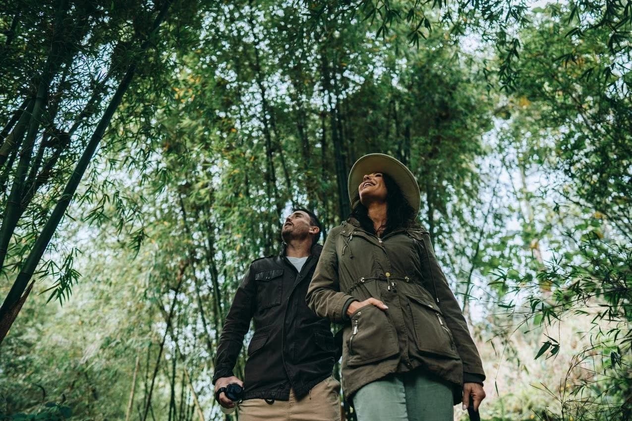 Couple walking through bamboo forest looking up