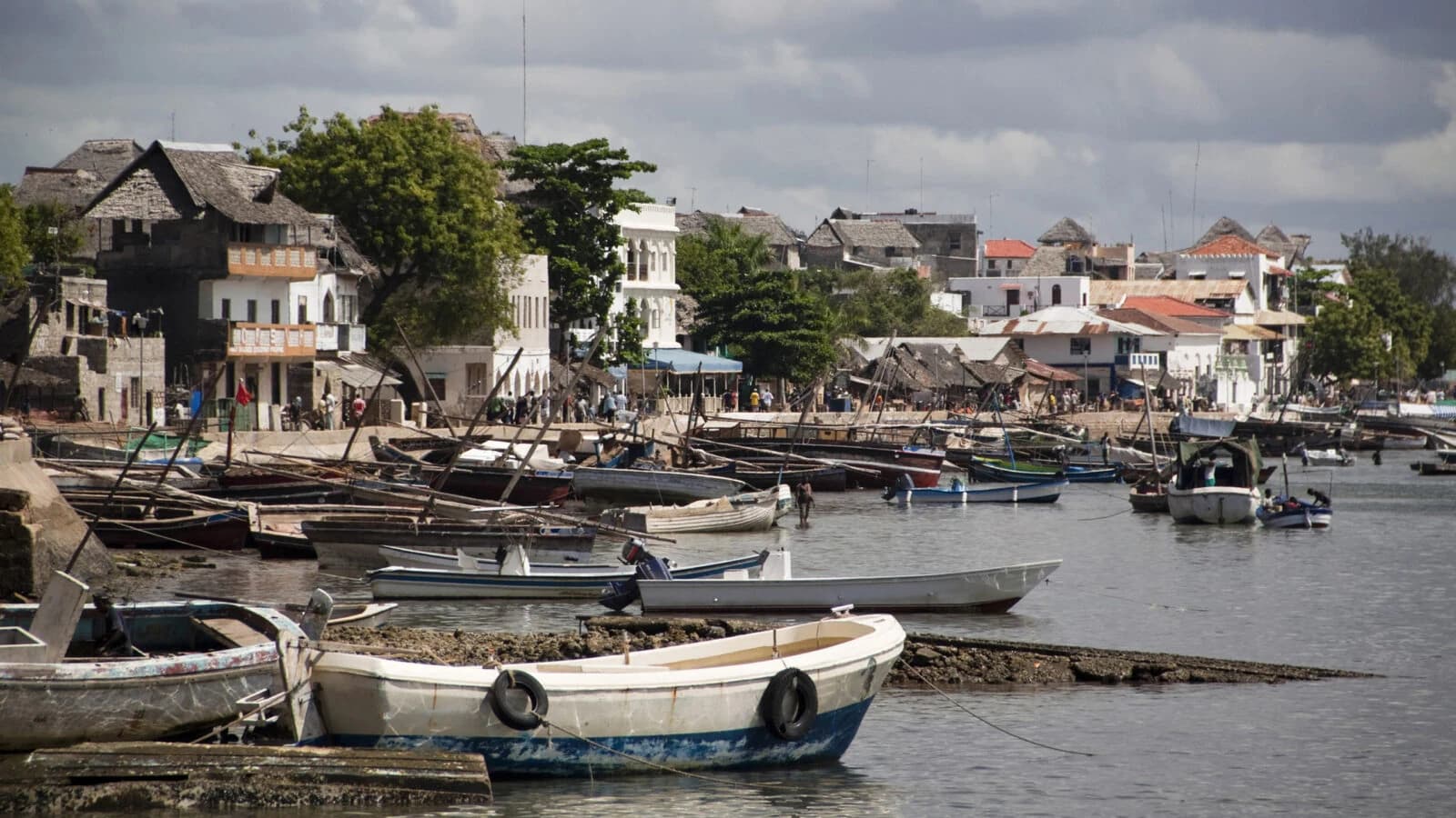 Wooden boats moored at low tide below Lamu waterfront houses