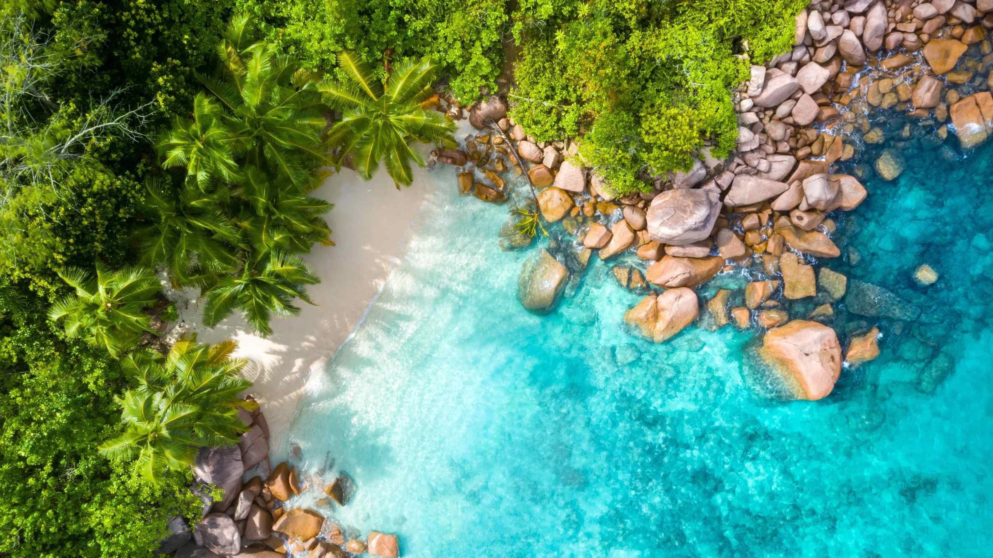 Aerial of turquoise cove with granite rocks and green forest