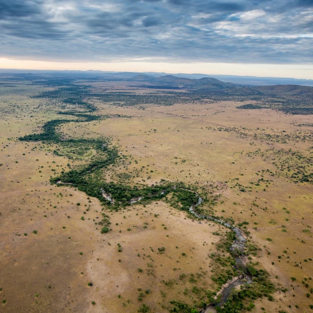 Aerial of Grumeti river winding across golden plains under dramatic sky