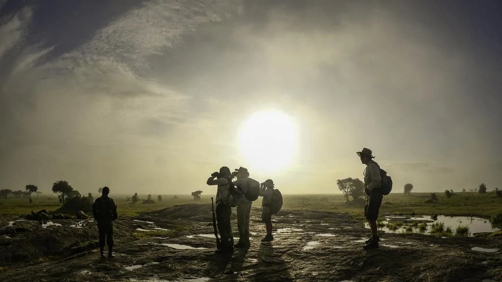 Silhouetted walking group with binoculars and armed ranger at sunrise