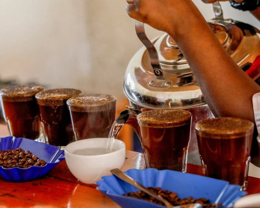 Coffee being poured from silver kettle into tasting glasses