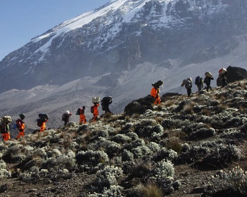 Line of porters carrying loads up a rocky slope below Kibo