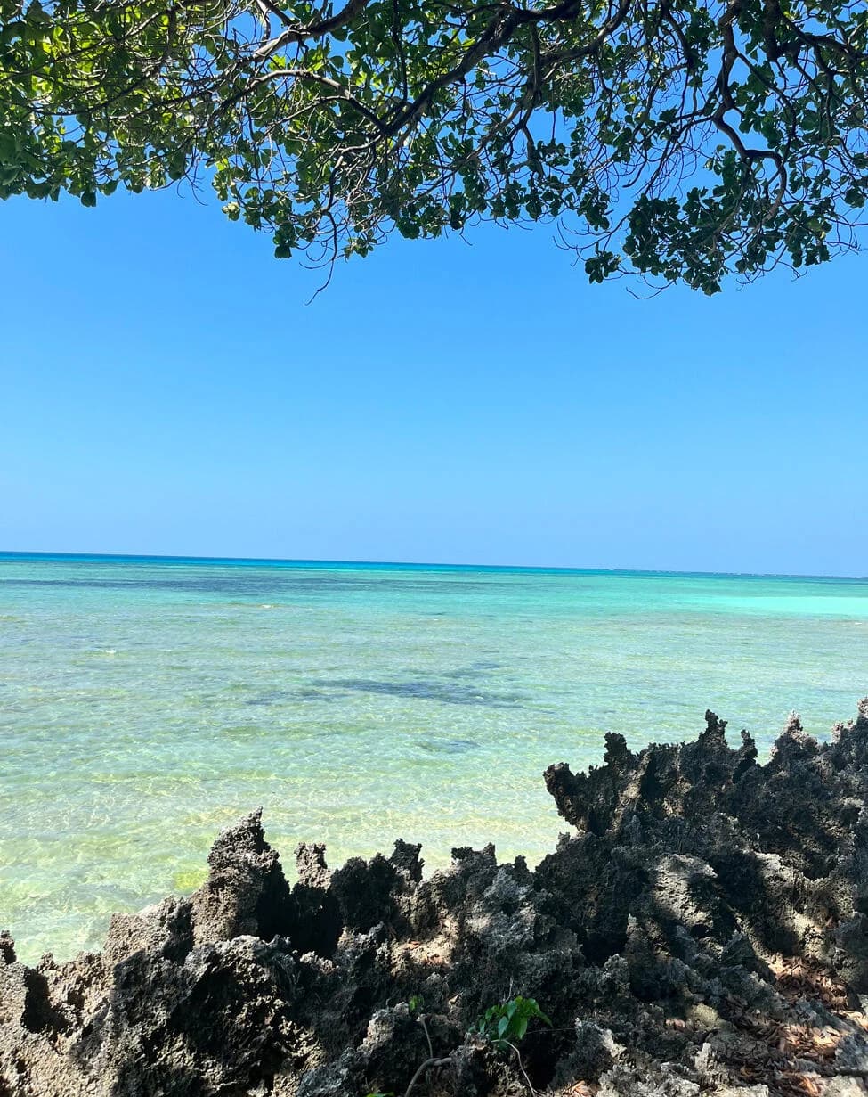 Turquoise shallow sea framed by black coral rock and leaves