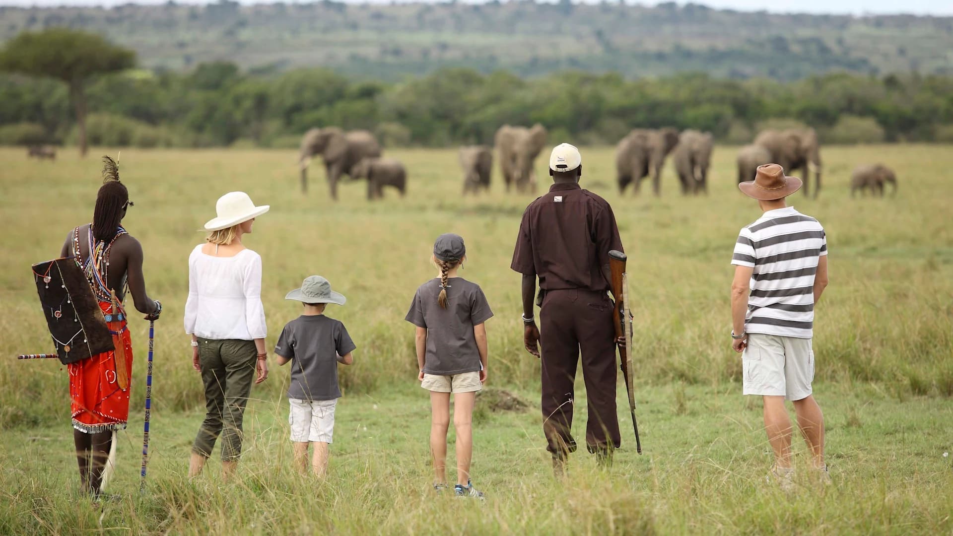 Guide and guests walking in grass watching elephants in the distance