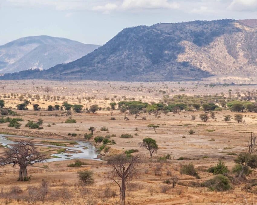 Dry river valley with baobabs, sandy channel and rocky hills behind