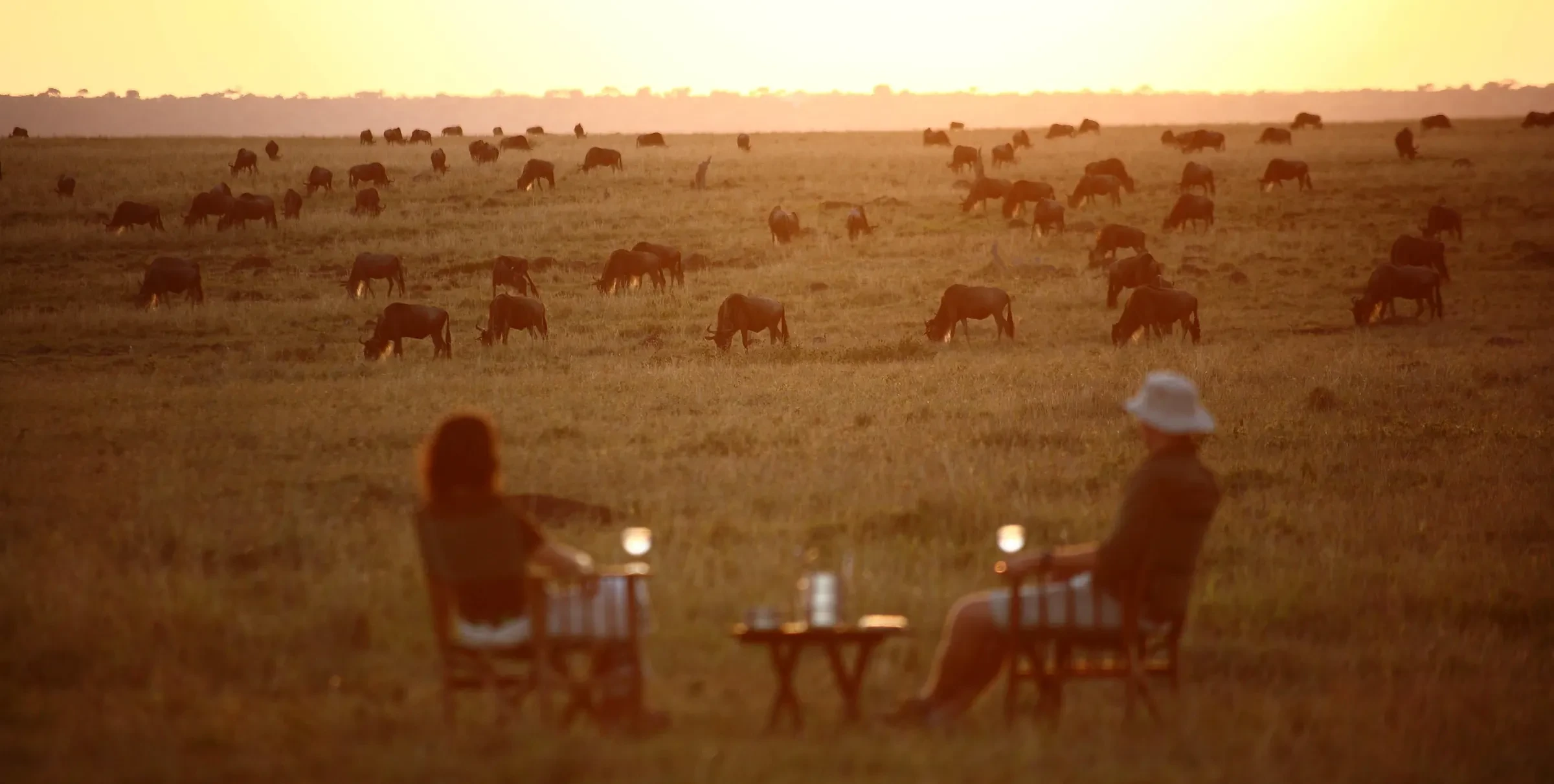 Travellers linger over sundowners as the herds graze on, the plains gold at the close of the day.
