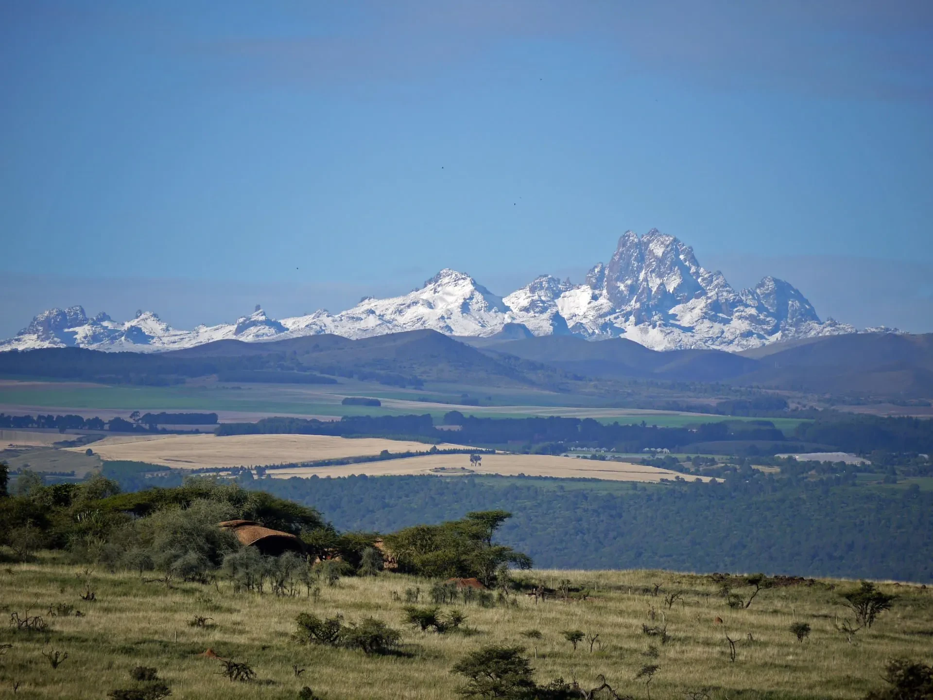 The snows of Mount Kenya rise above the highland plains.
