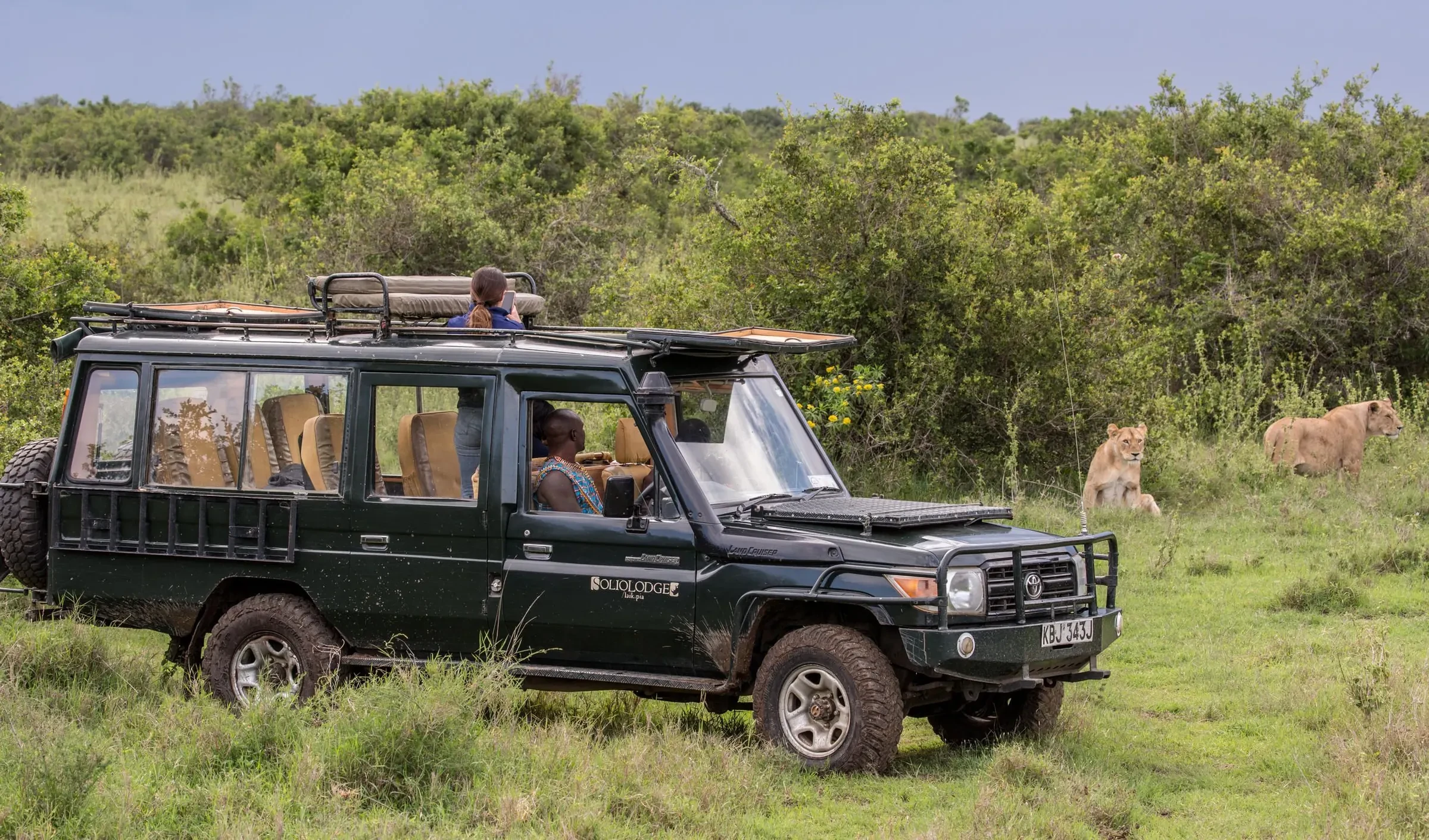 Rhino graze the grassland of Solio, the sanctuary's quiet giants.