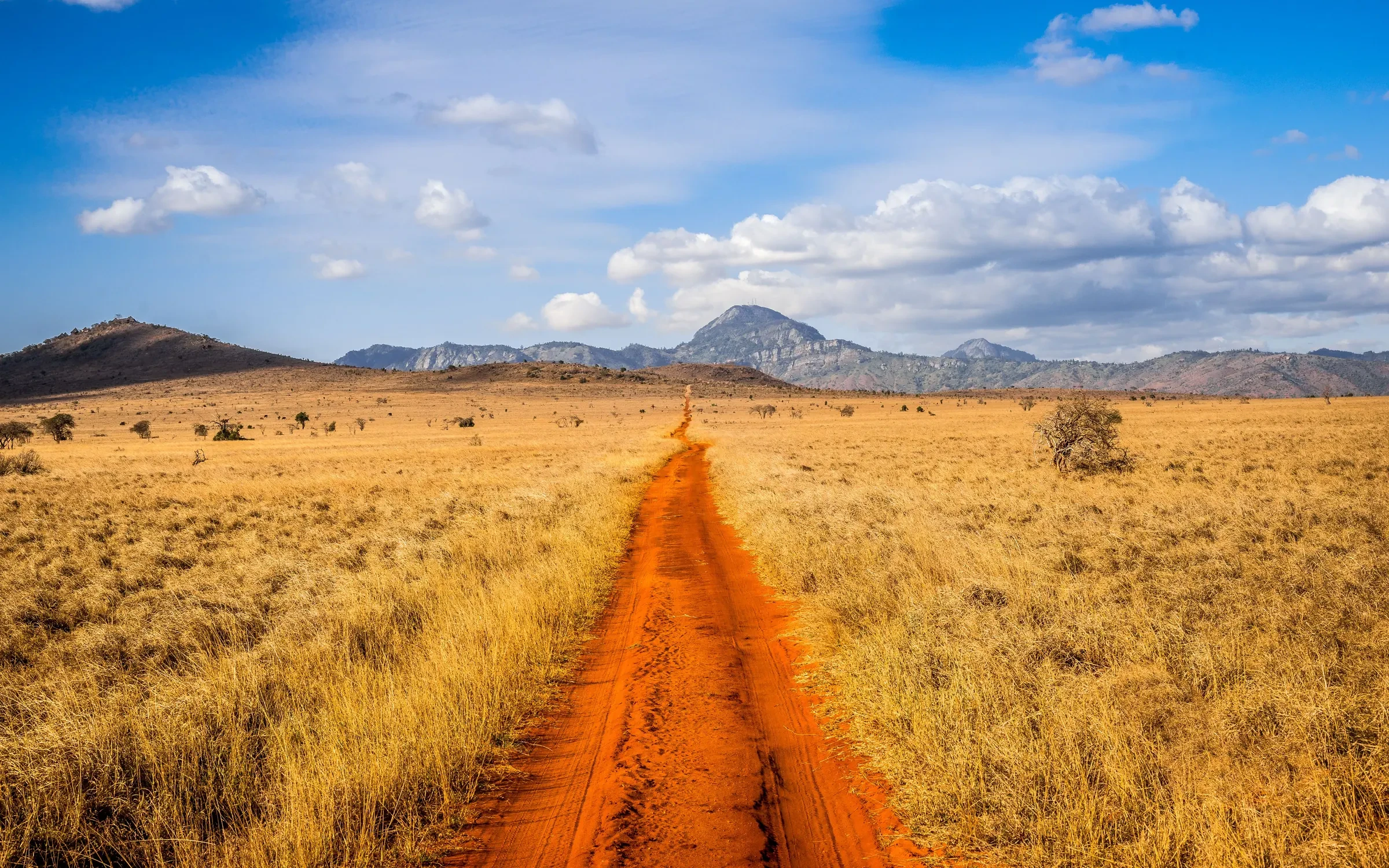 A red-earth track runs straight through the golden bush of Tsavo.