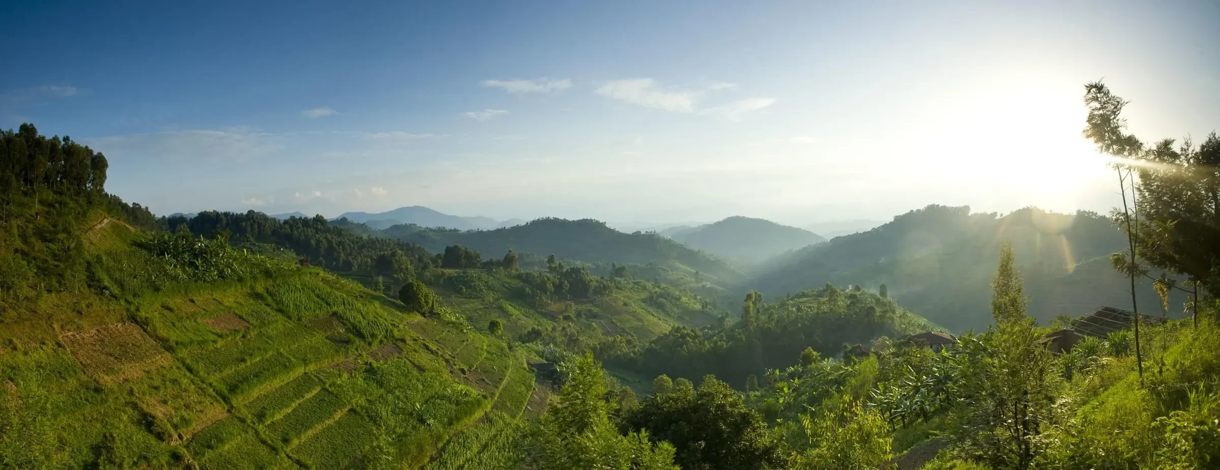 Light breaks over Rwanda's thousand hills, terraces falling away green to the valleys.