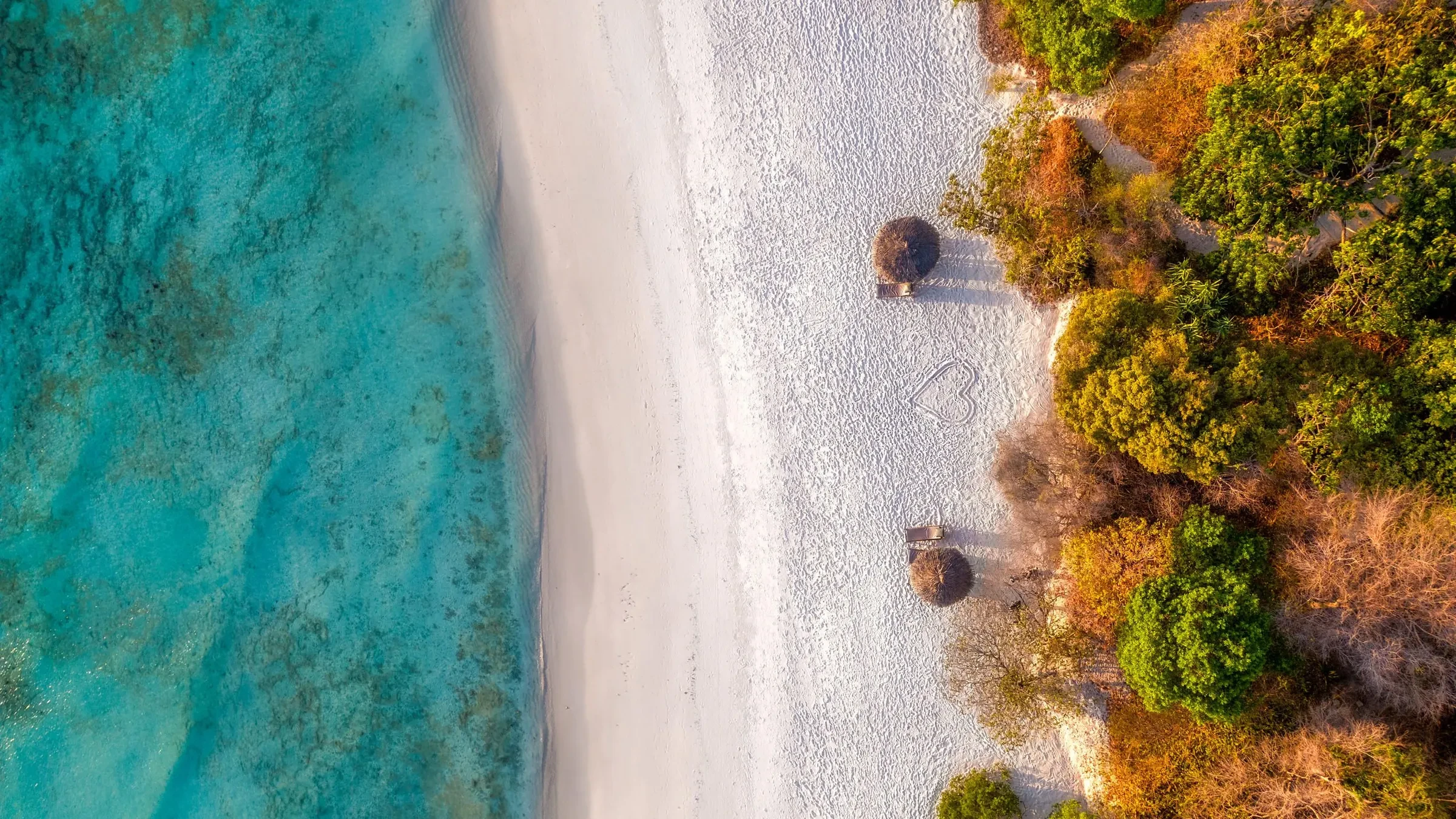 Forest meets white sand along the quiet coast of Pemba.