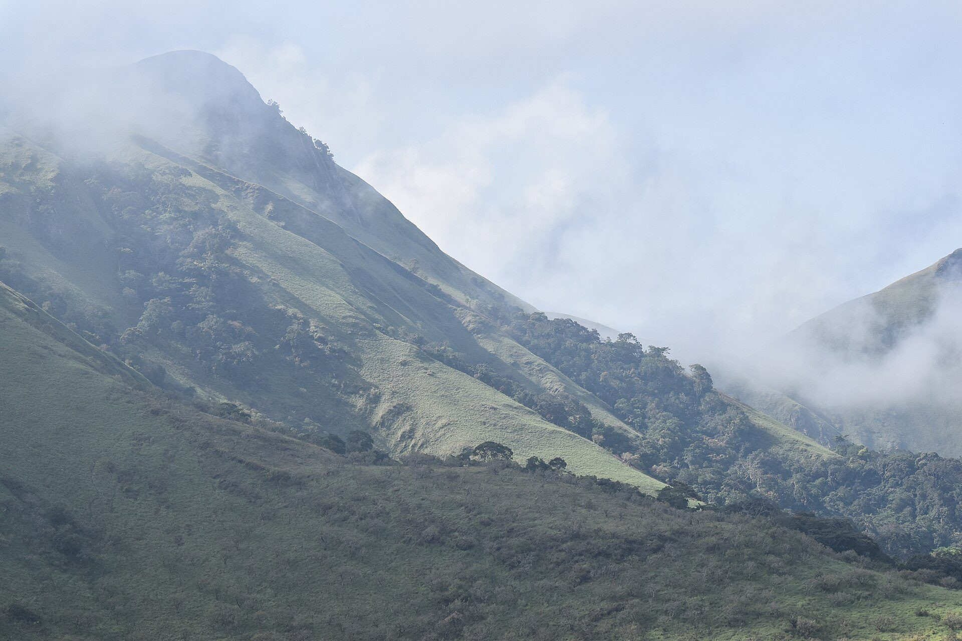 Mist rolls across a green mountain forest, ridge fading into ridge.