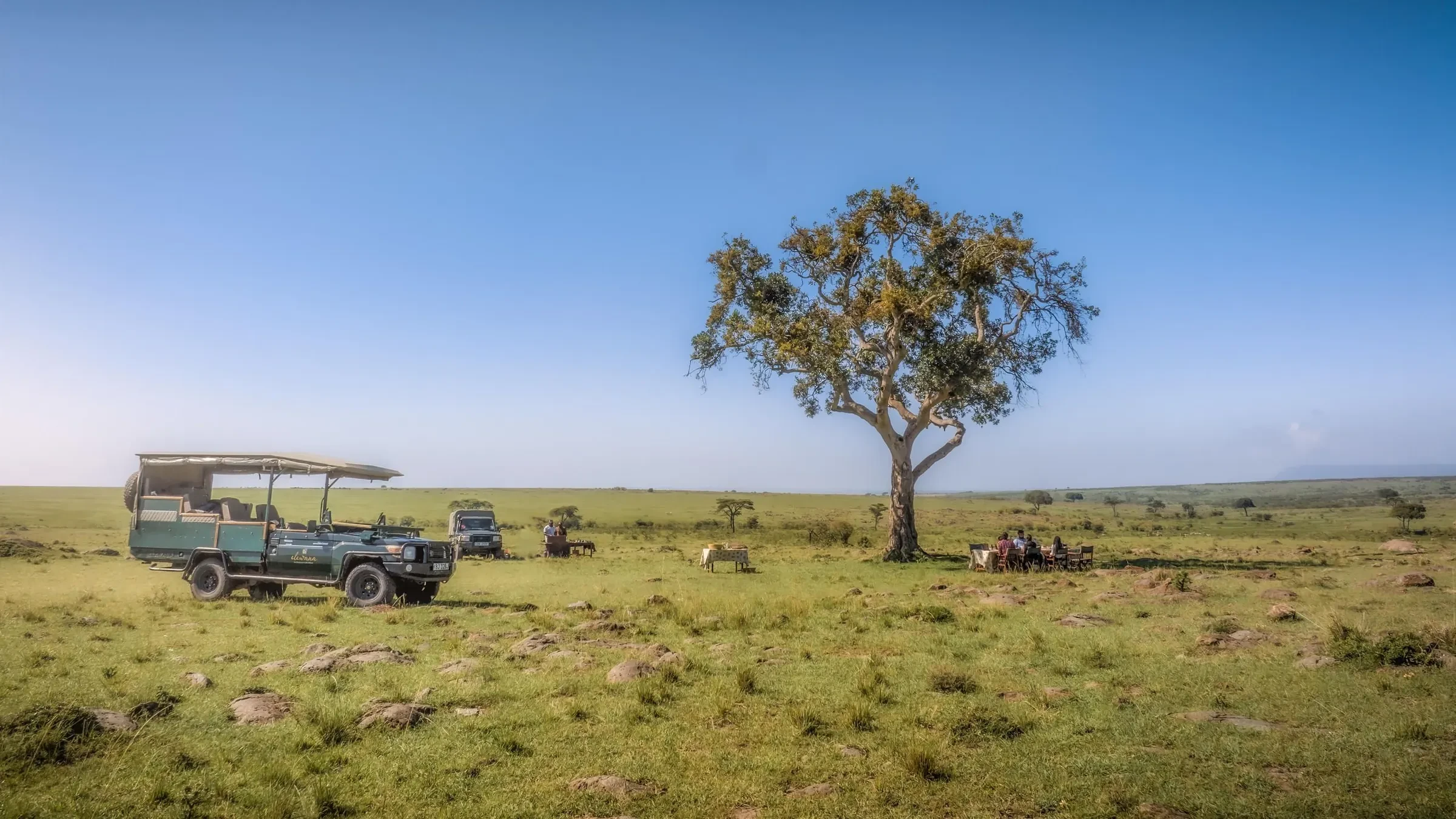 Safari vehicles pause by a lone tree on the open plains of Lewa.