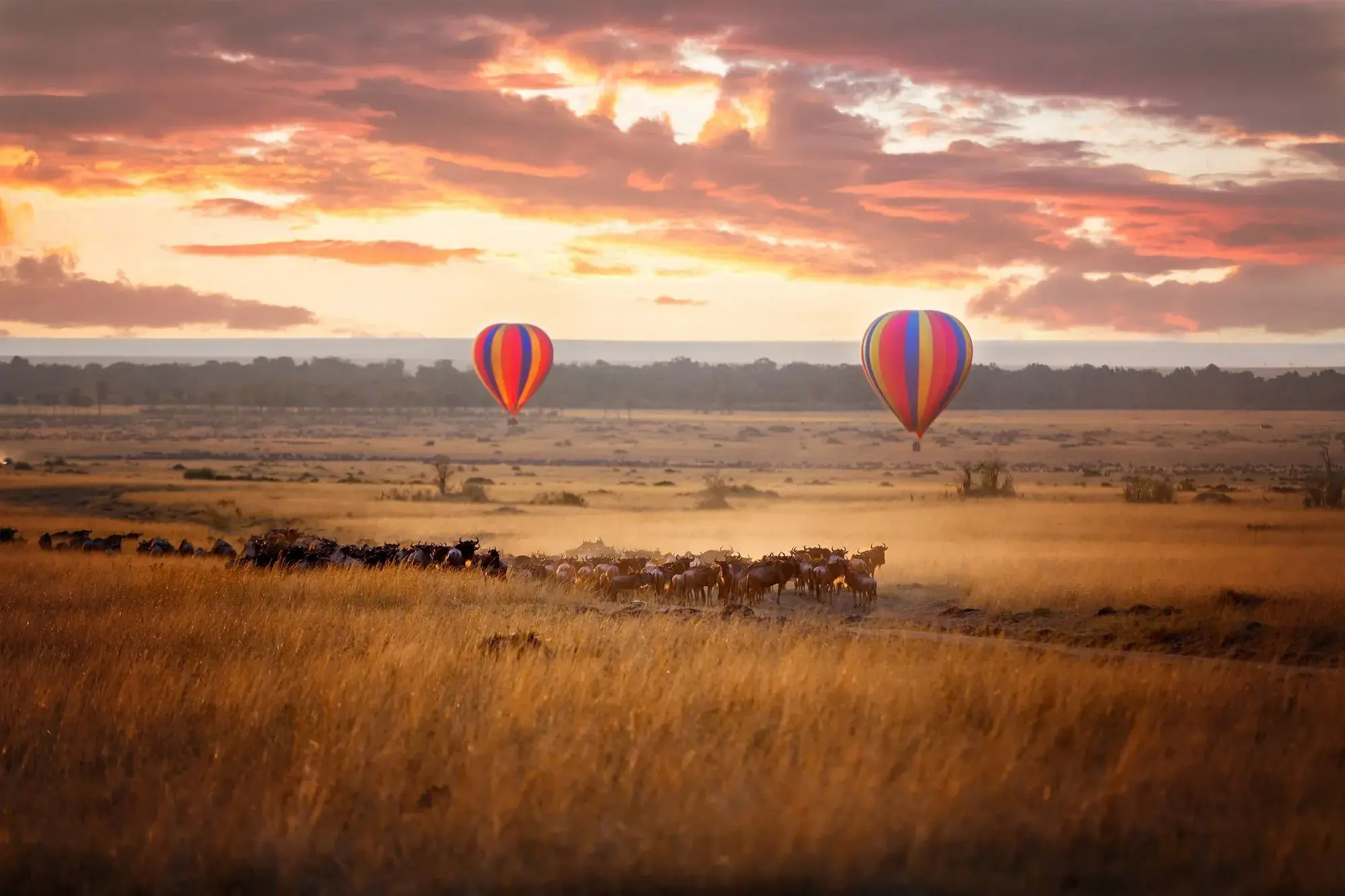 Balloons drift over the Mara at first light, the plains waking gold below.