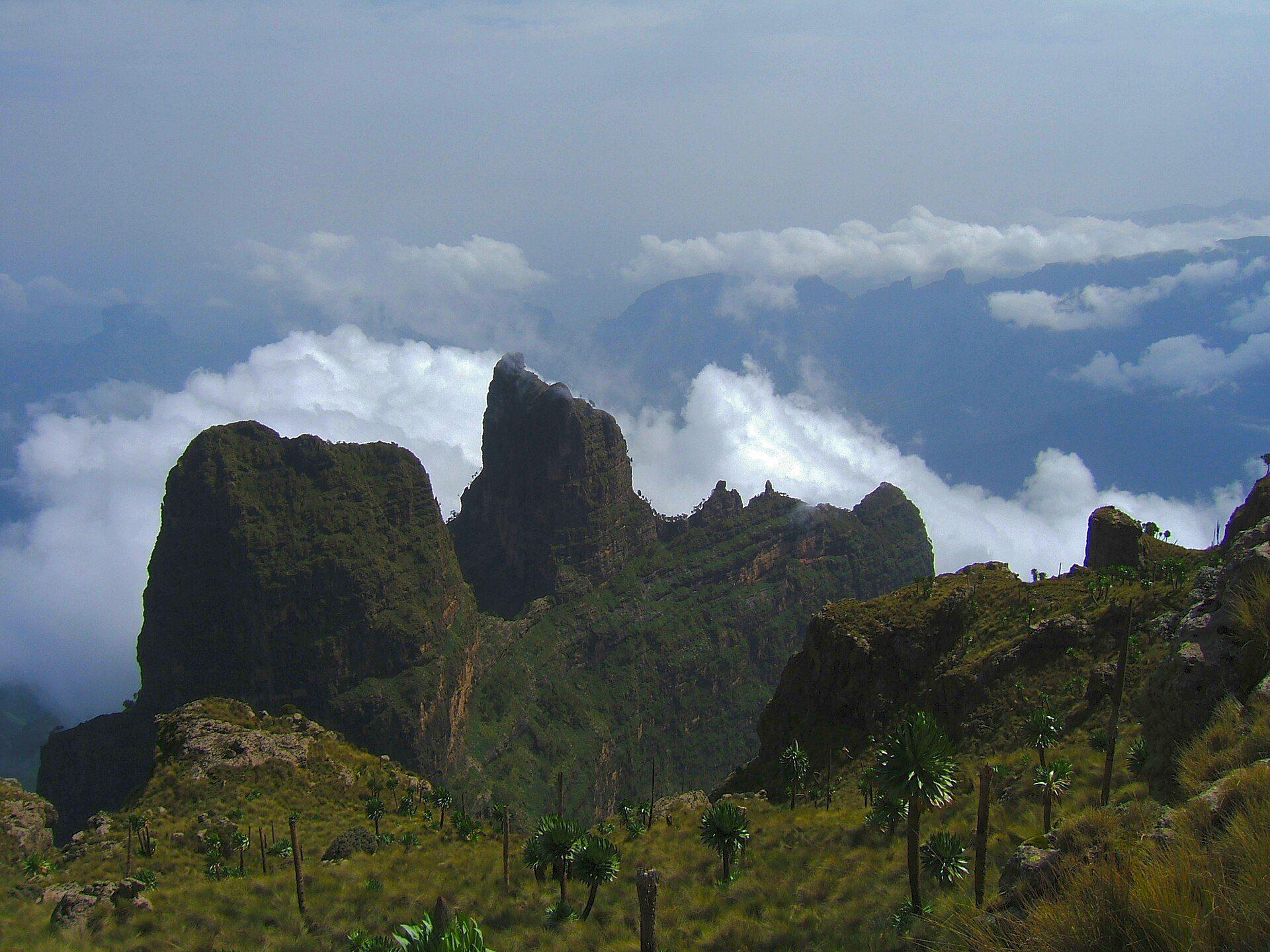 The peaks of the Simien Mountains rise above the cloud, Ethiopia's highlands falling away below.