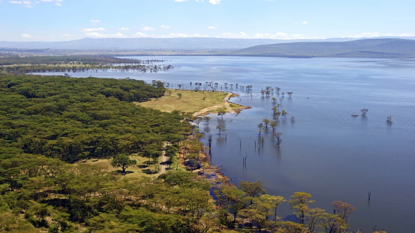 Aerial of acacia shore and flooded trees along a lake