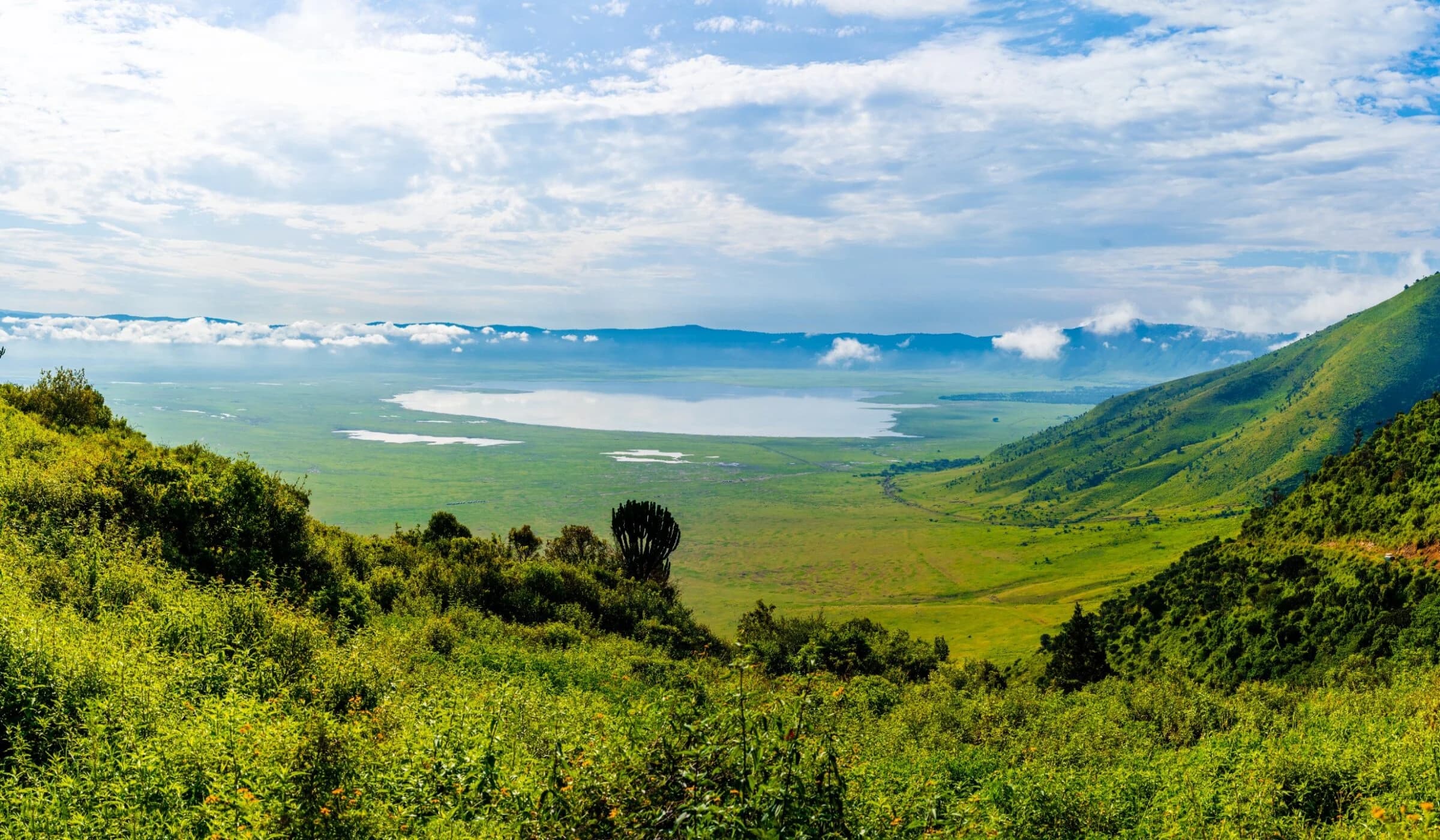 Green crater rim sloping to the crater floor and pale lake