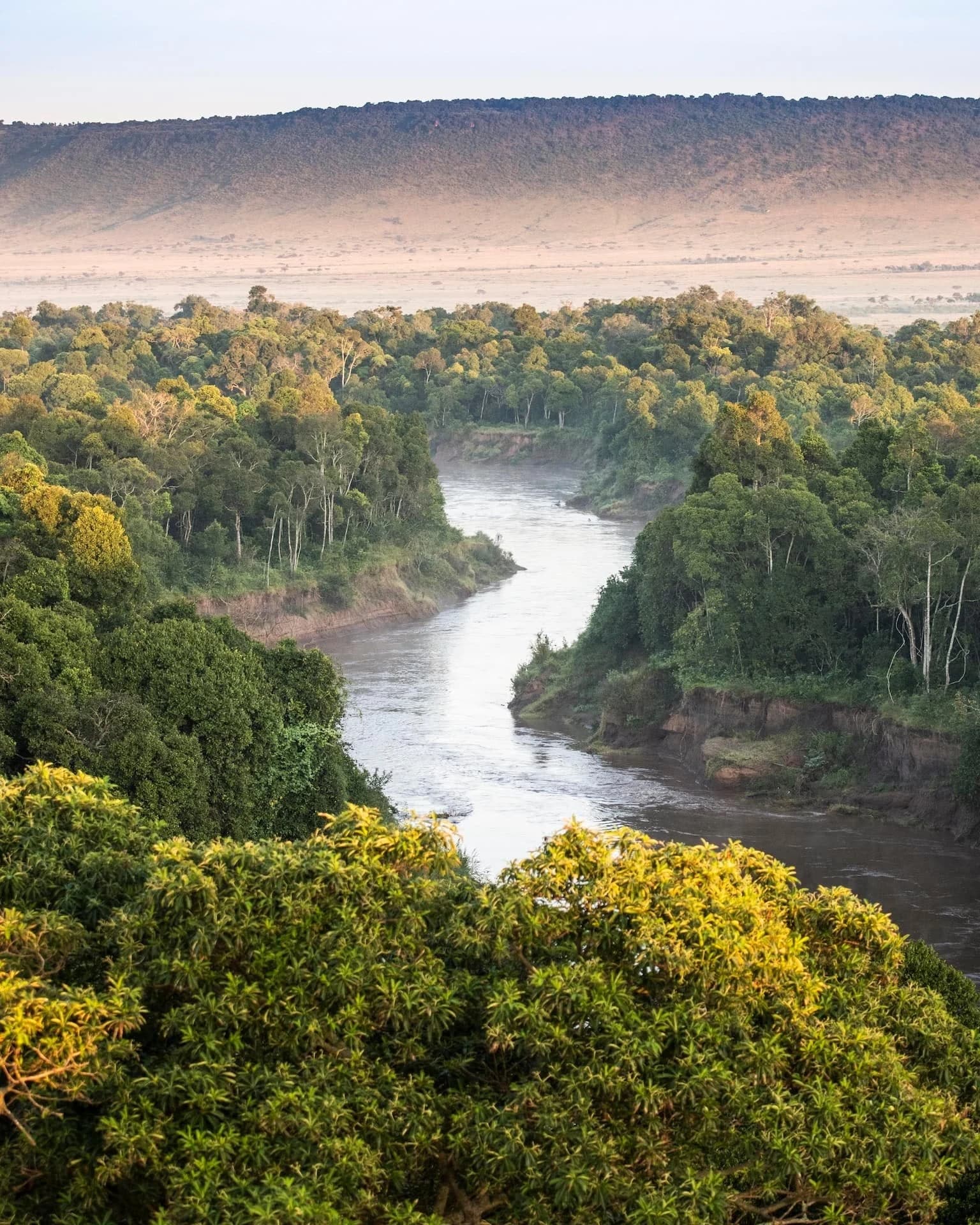 Winding river through riverine forest with escarpment beyond, tall frame