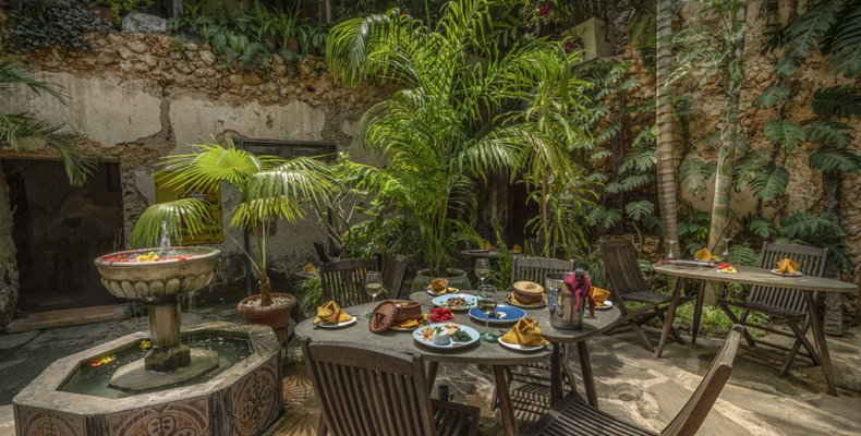 Planted courtyard dining at Emerson Spice