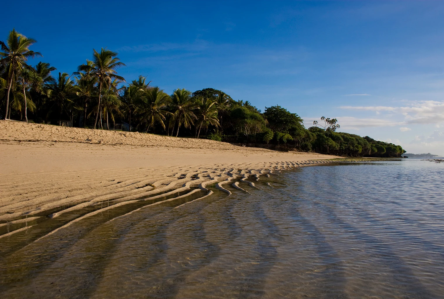 Rippled sand at low tide along a palm-fringed beach on Kenya's coast