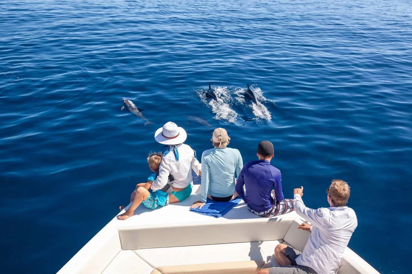 People on the bow of a boat watching dolphins swim alongside