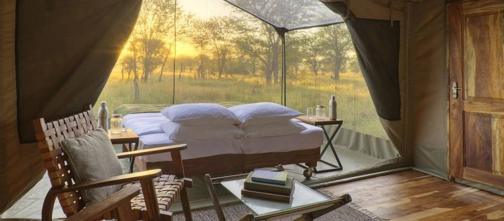 Olakira Migration Camp, Serengeti, Kogatende North