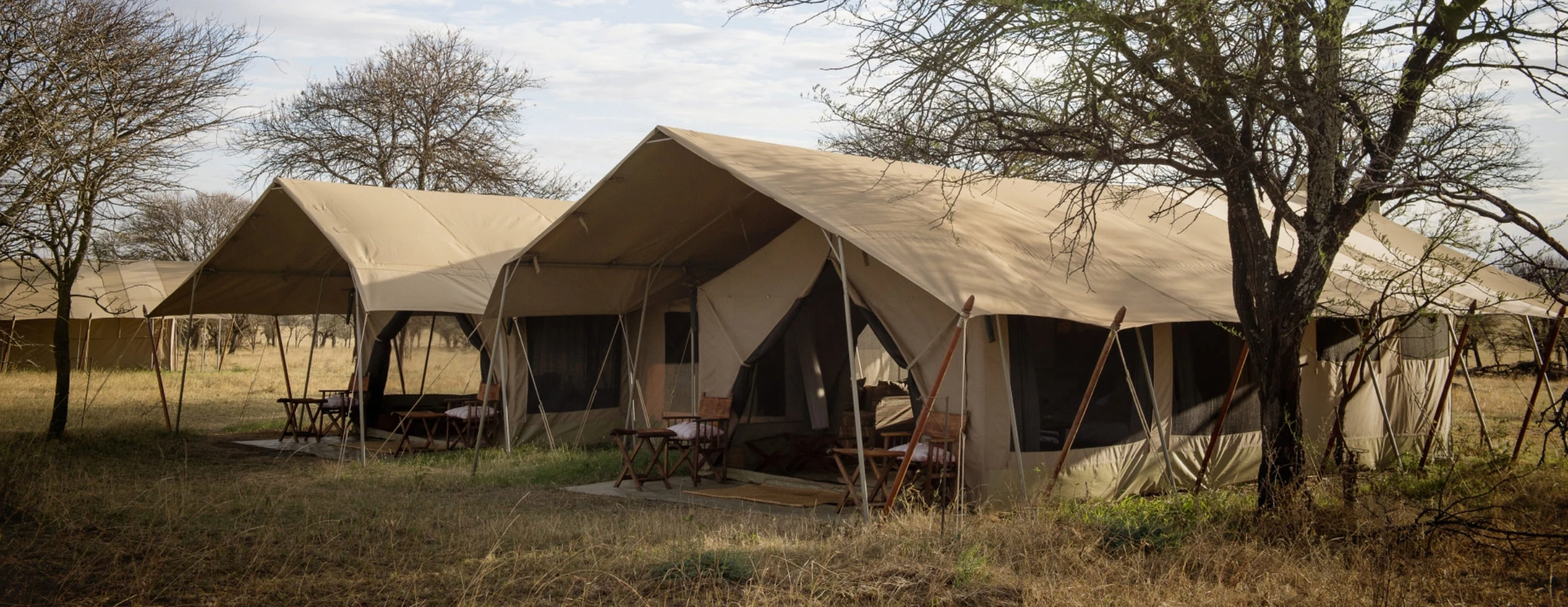 Safari tents beneath woodland trees at Serengeti Safari Camp