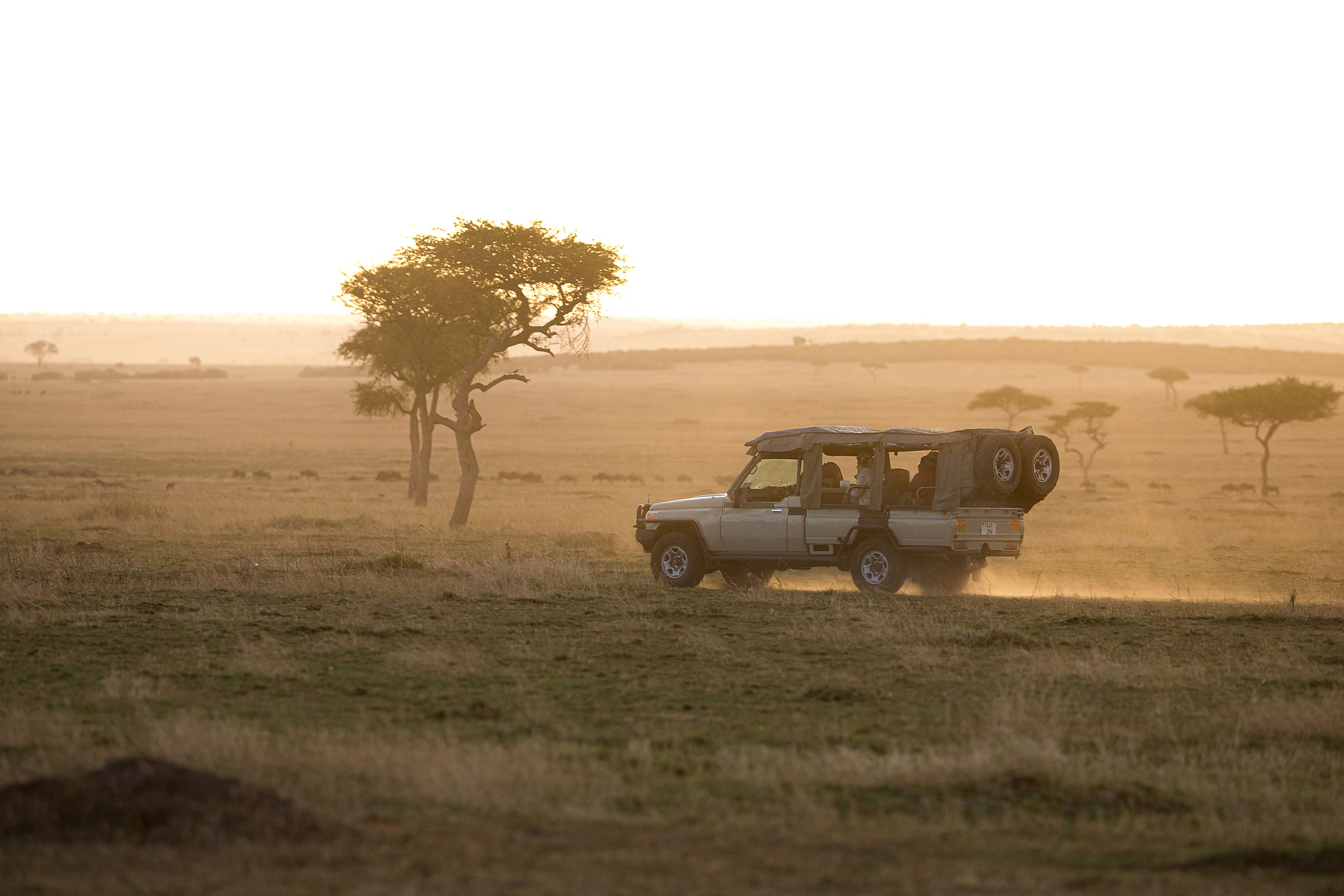 Safari vehicle at golden hour on a game drive in the Serengeti