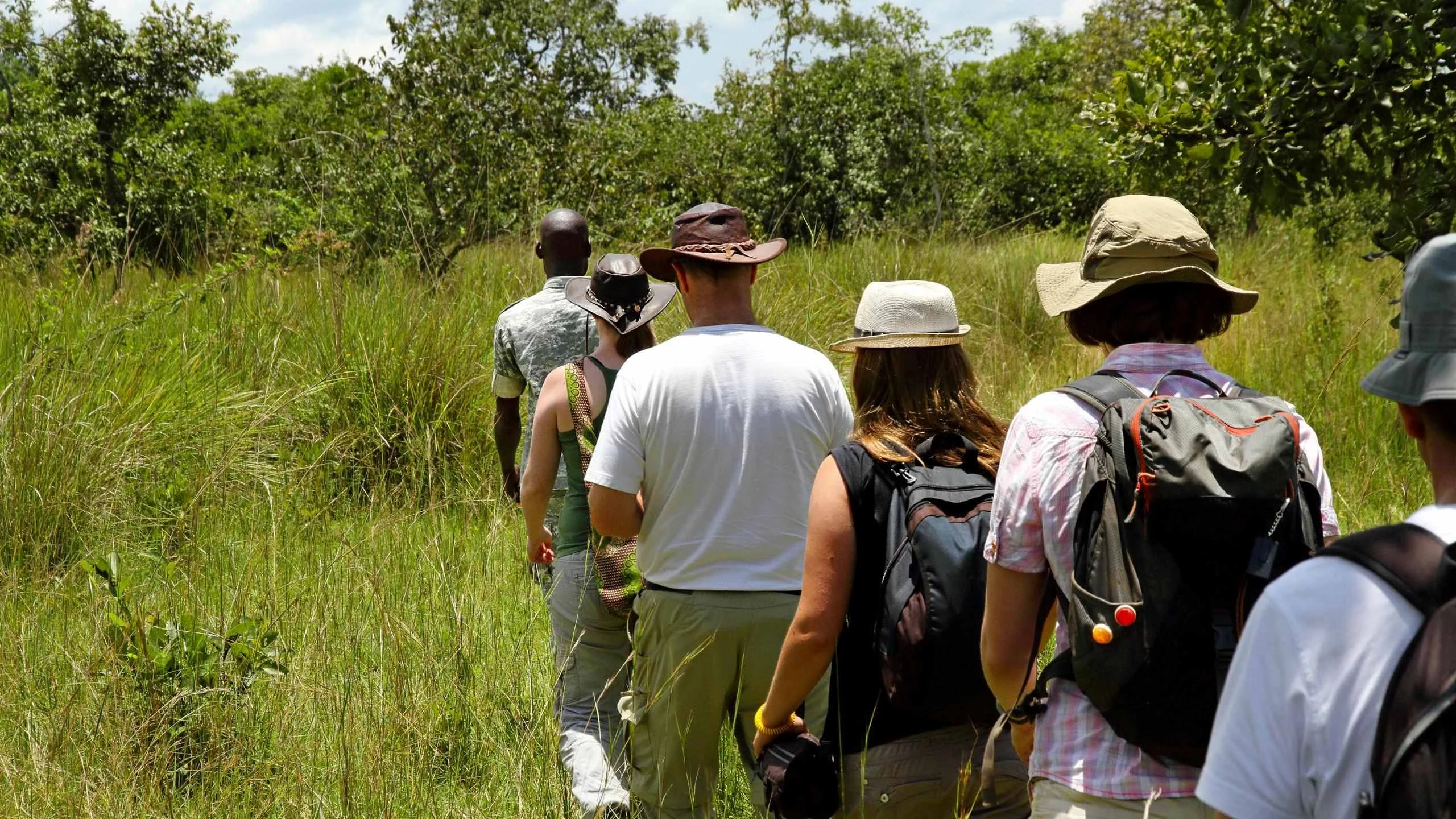 Walking safari guests and guide in green bush, seen from behind
