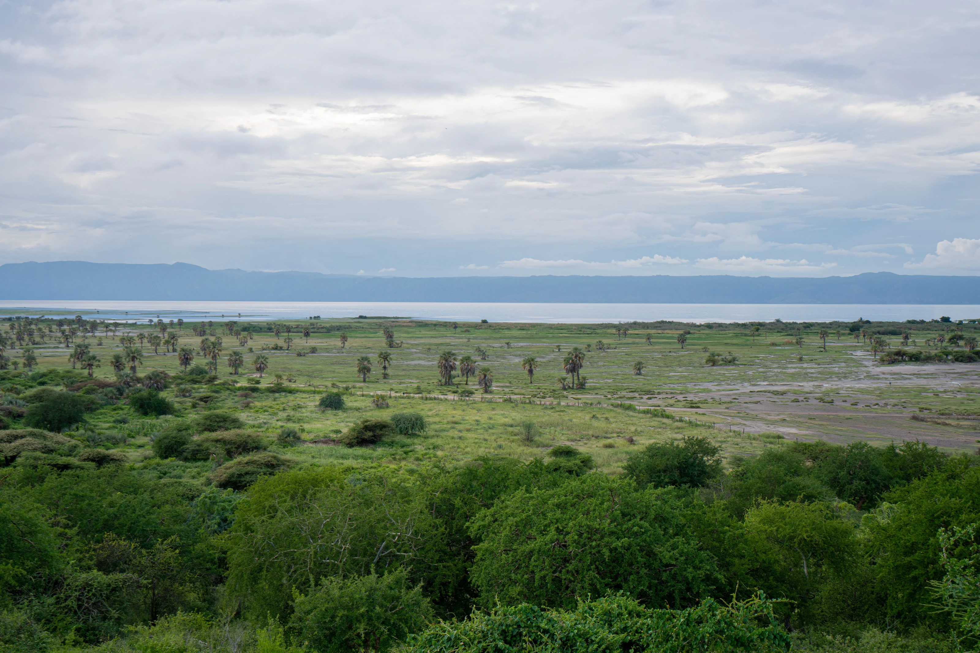 Green woodland and open plains leading to a broad lake beneath cloudy skies
