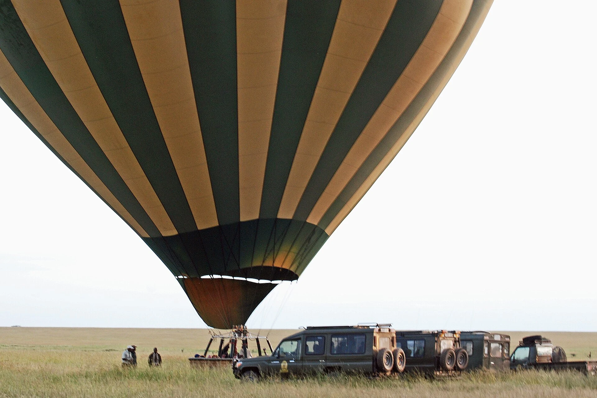 A hot-air balloon about to lift off beside safari vehicles on the plains