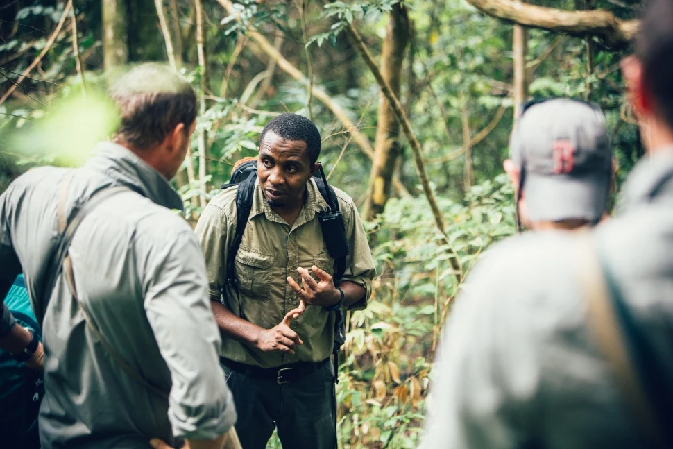 A guide talking to walkers in the forest at Mahale