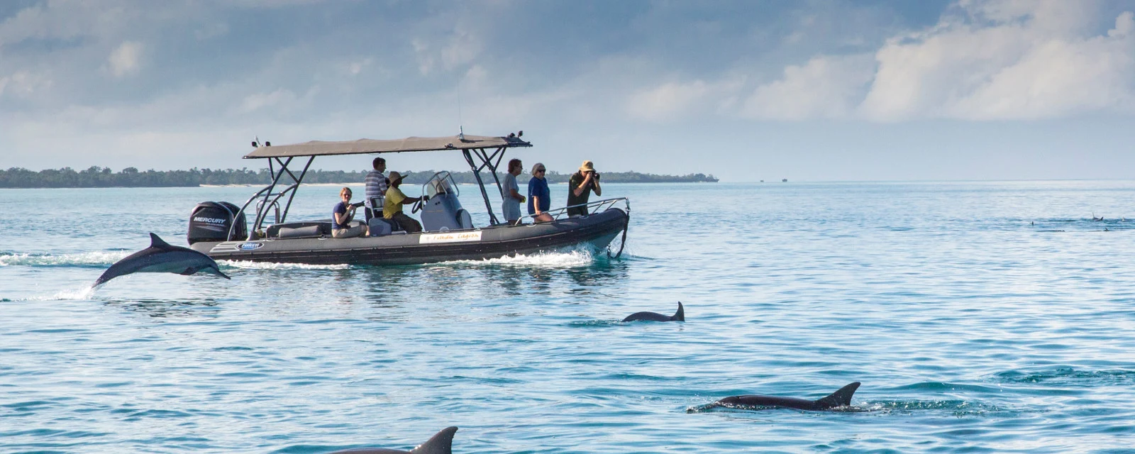 Dolphins surfacing beside a small boat of guests