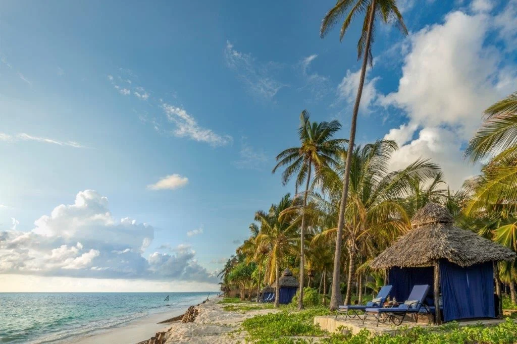 Palm trees and a thatched beach cabana above a calm turquoise sea
