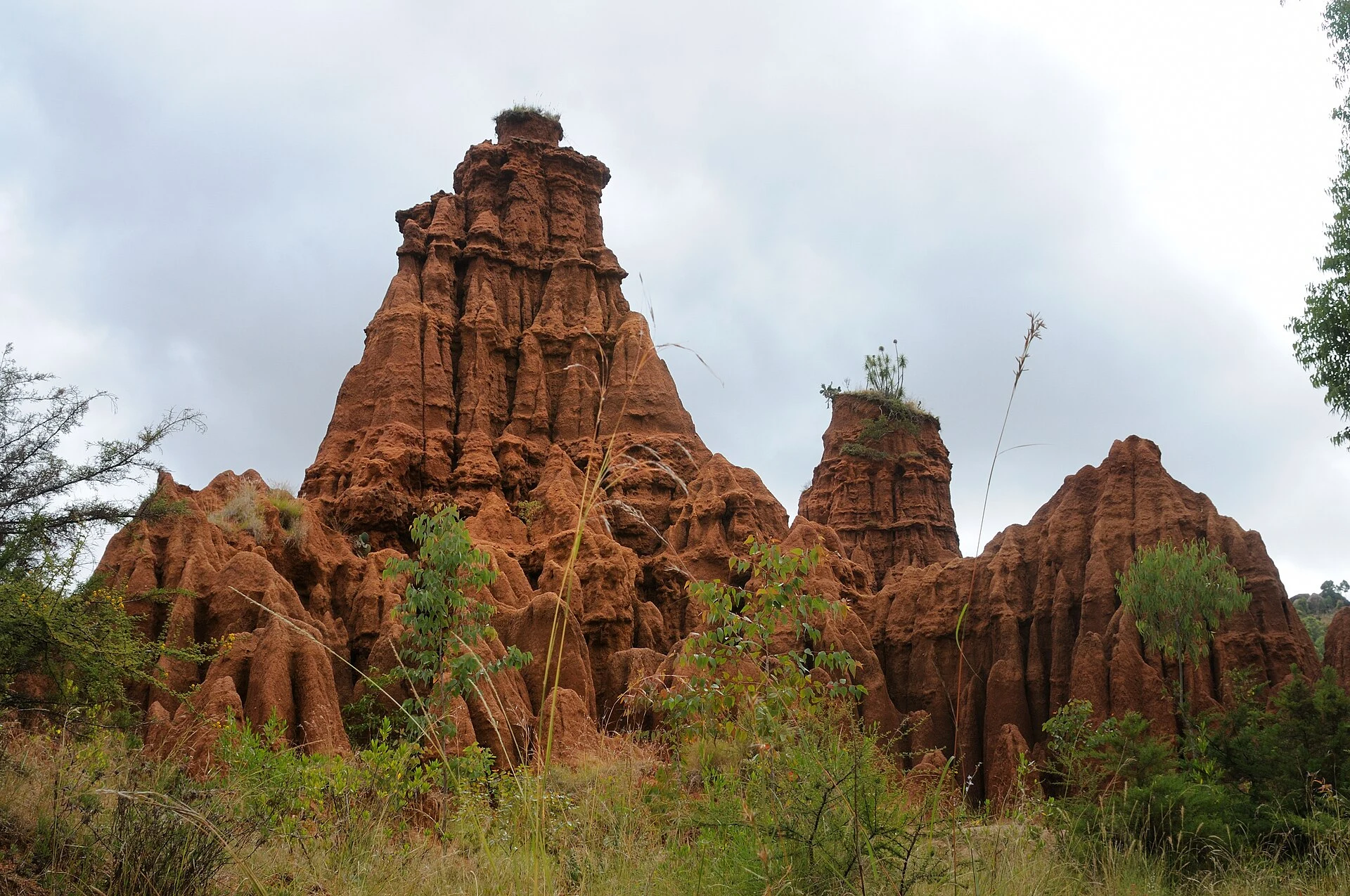 Eroded red sand pinnacles of the New York formation near Konso.