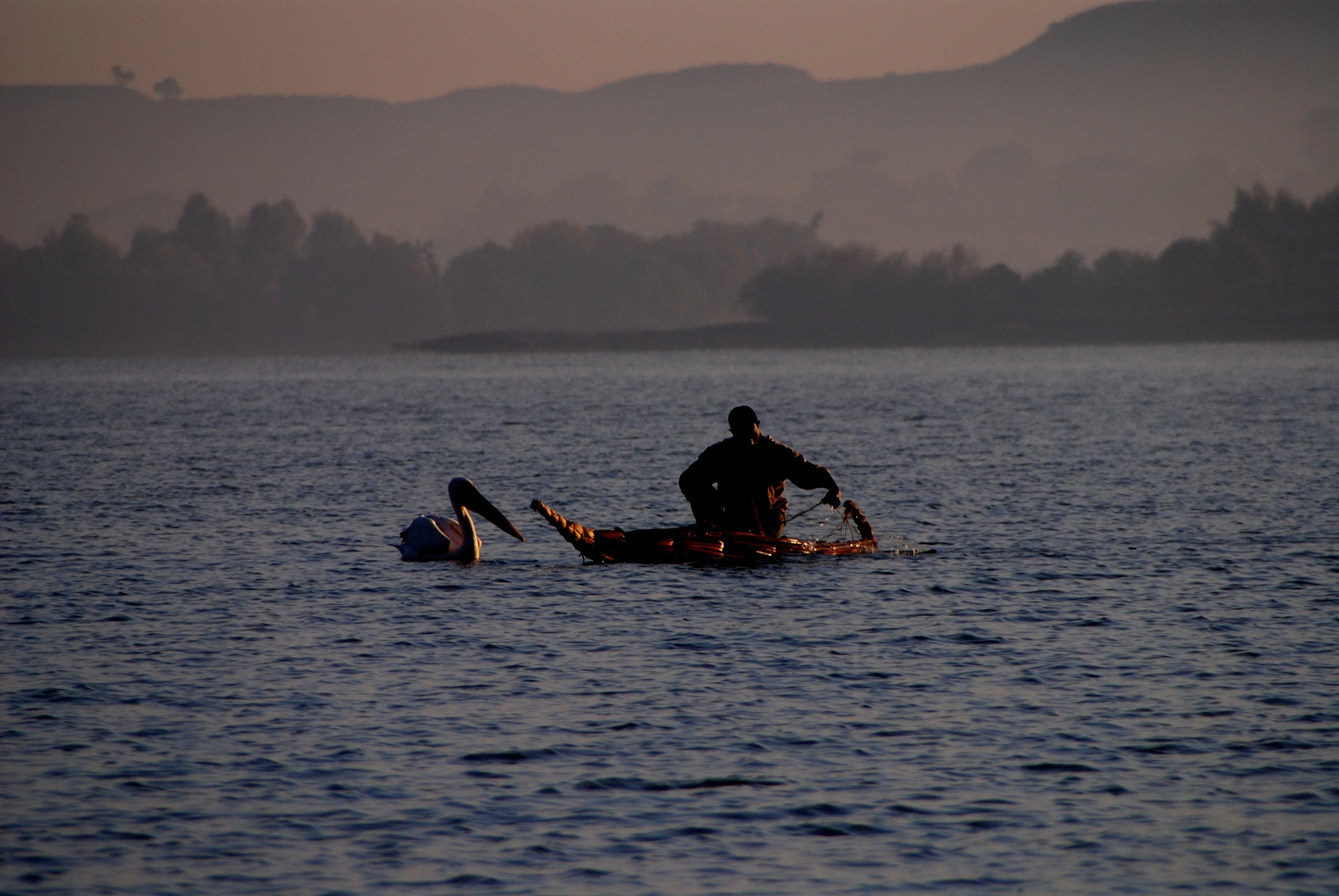 A man paddles a papyrus tankwa boat across the lake at dusk.