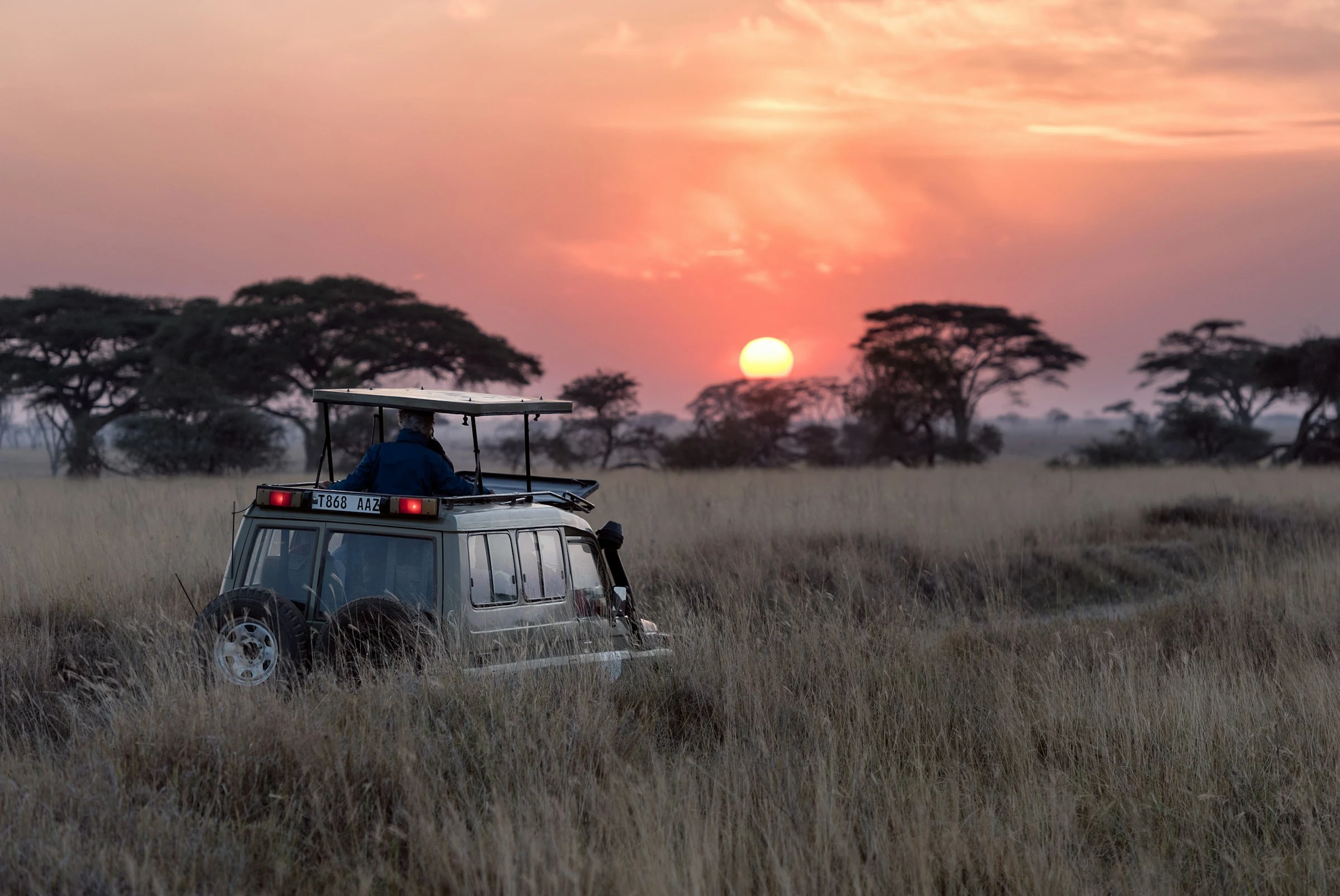 Safari vehicle in golden grass with the sun setting behind acacias