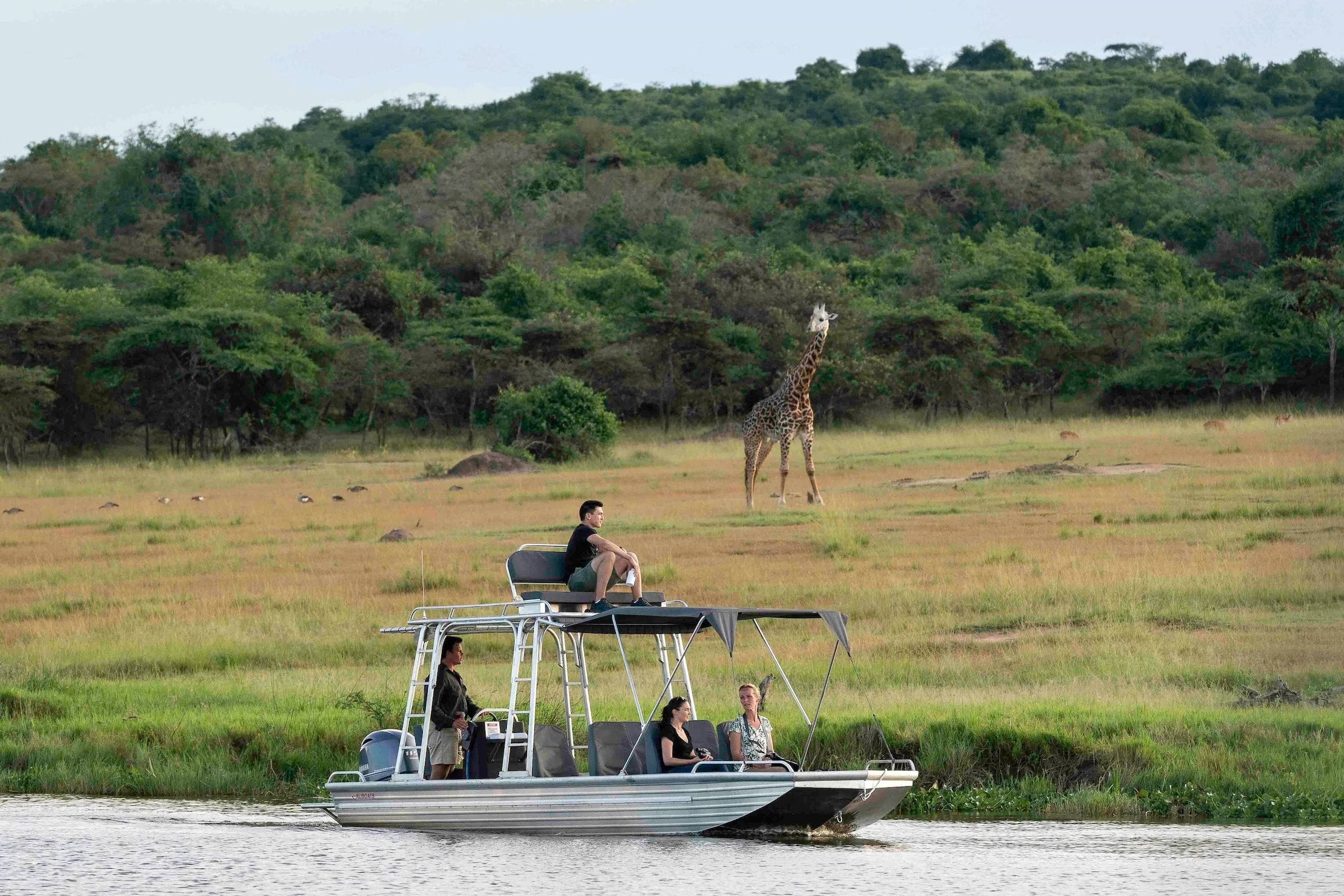 Guests on a boat cruise with a giraffe on the shore behind
