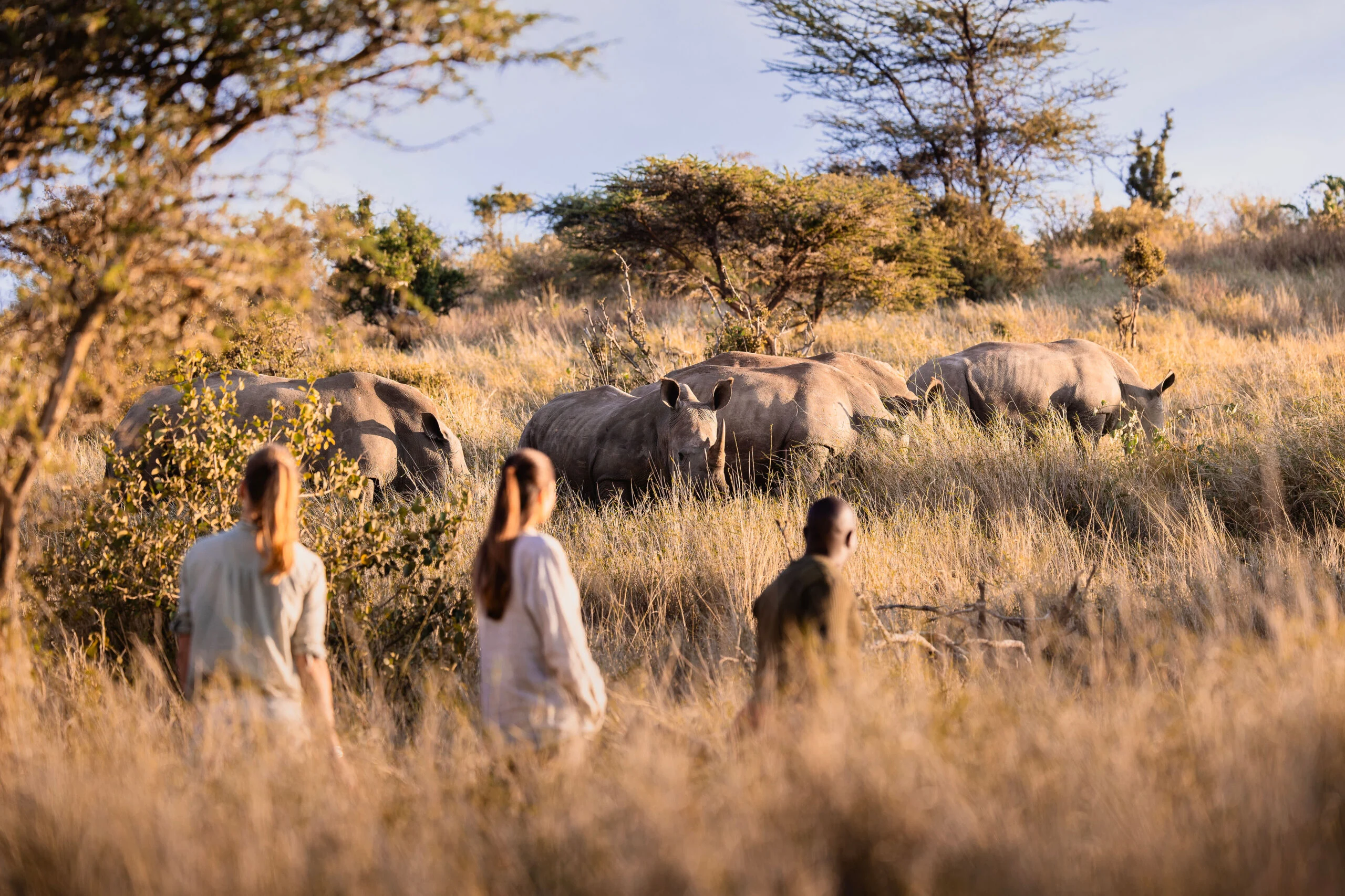 Guided walkers observing rhinoceroses