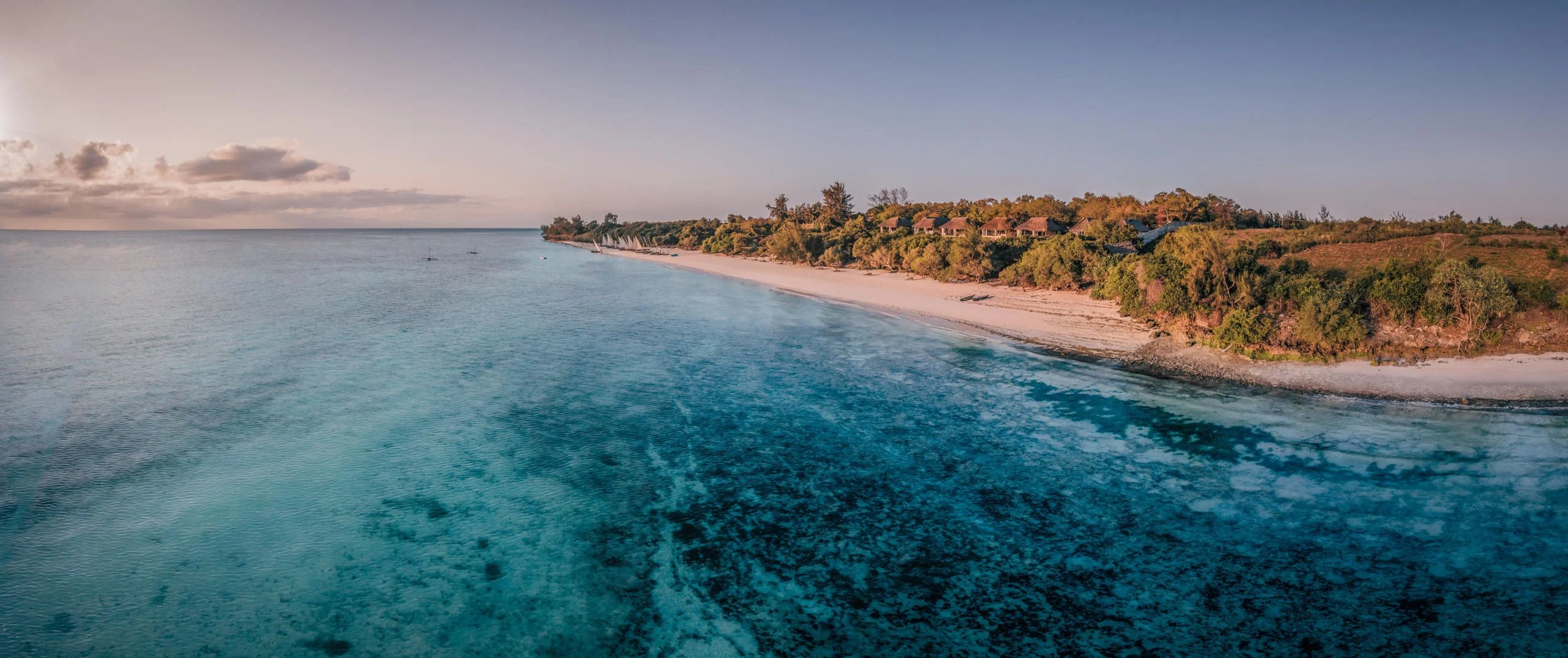 Wide aerial view of a palm-lined beach and shallow reef