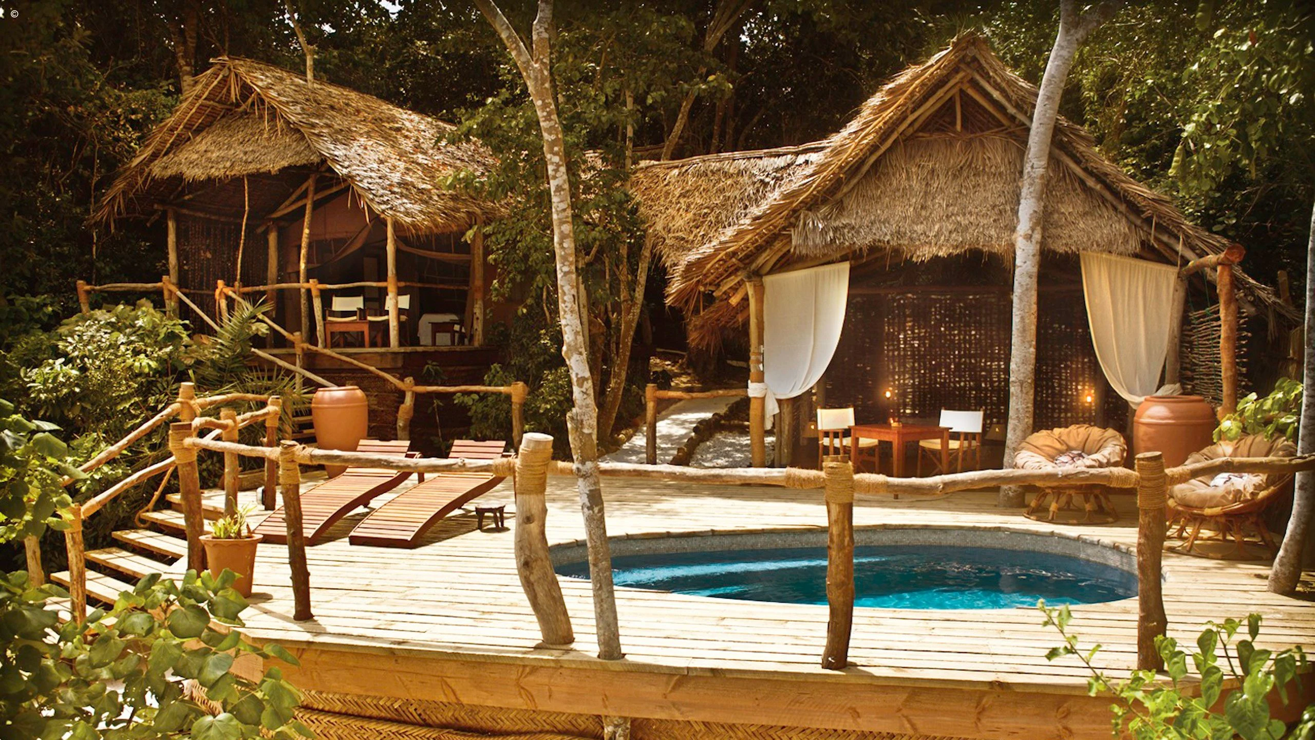 Thatched beach villas with a plunge pool among trees at Fundu Lagoon