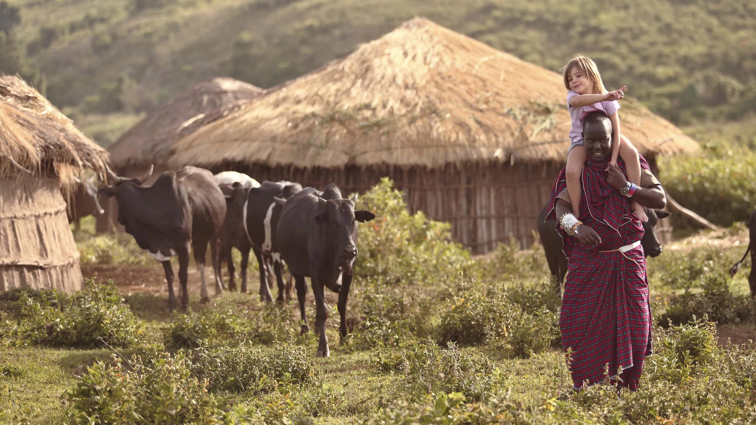 A Maasai man carrying a child on his shoulders beside huts and cattle