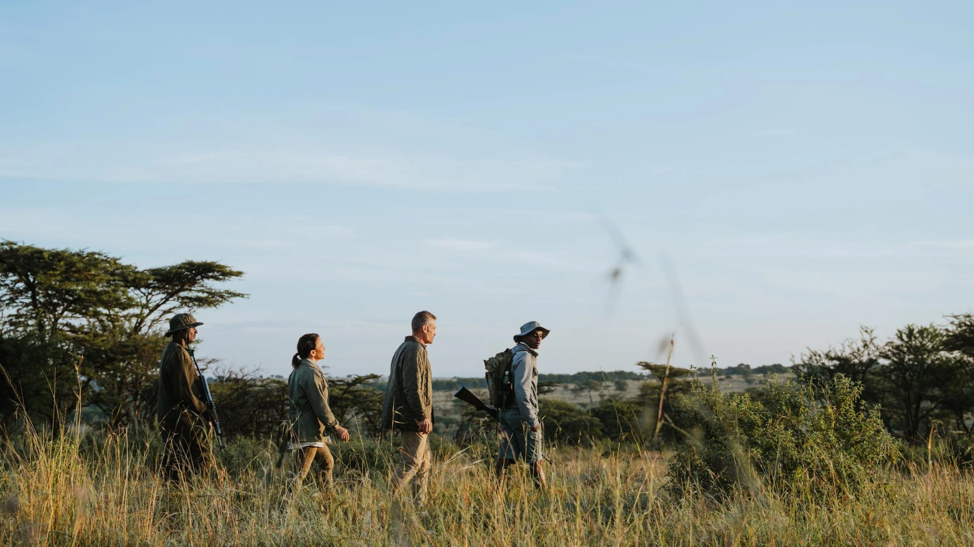 Four walkers crossing dry grass on a safari walk