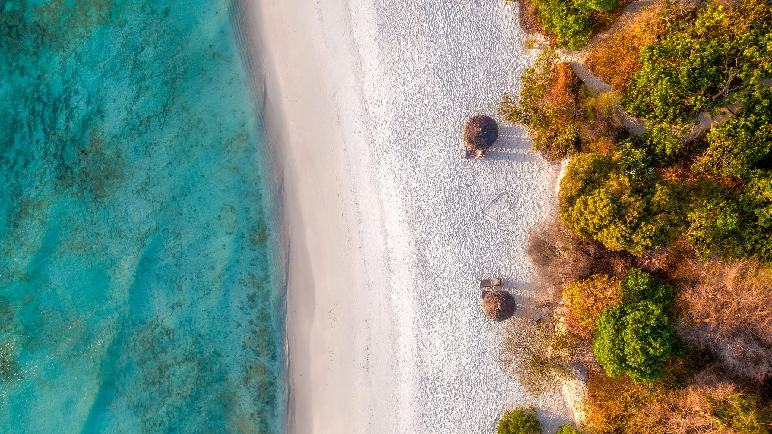 Aerial view of parasols on a white sandy shoreline