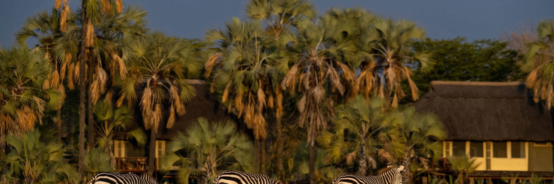 Maramboi Tented Camp, Lake Manyara