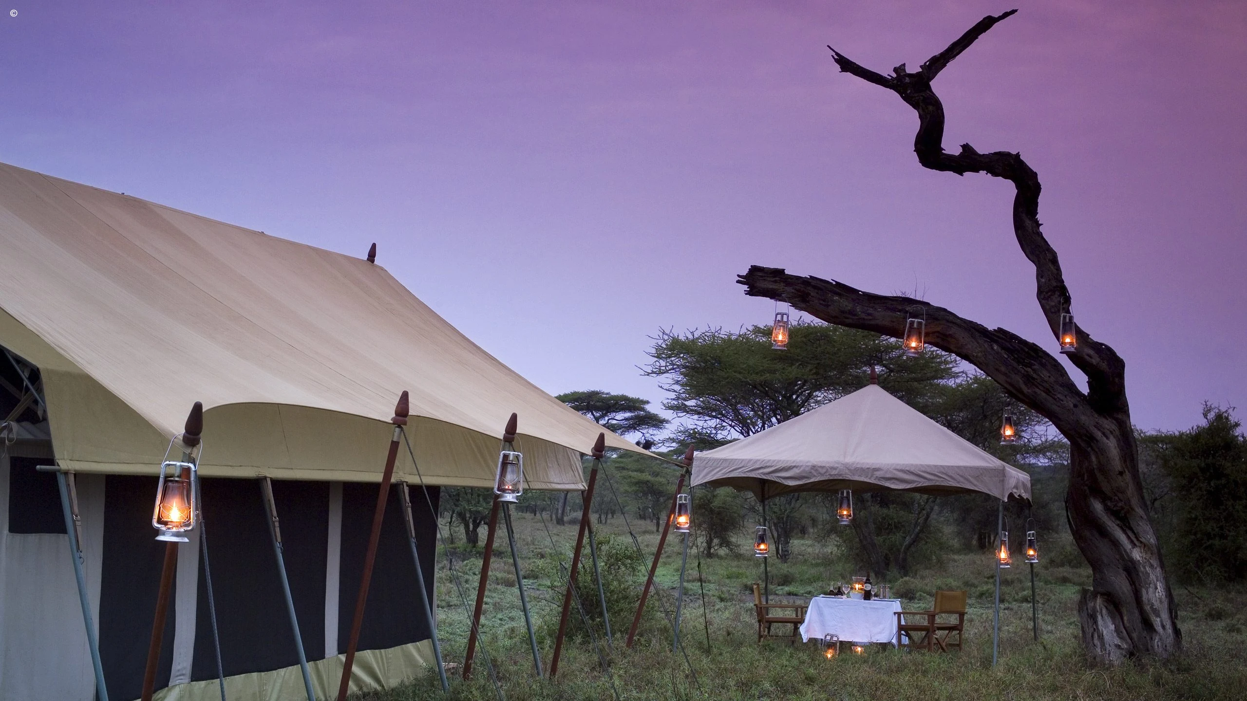 Safari tents of Serengeti Under Canvas at dusk